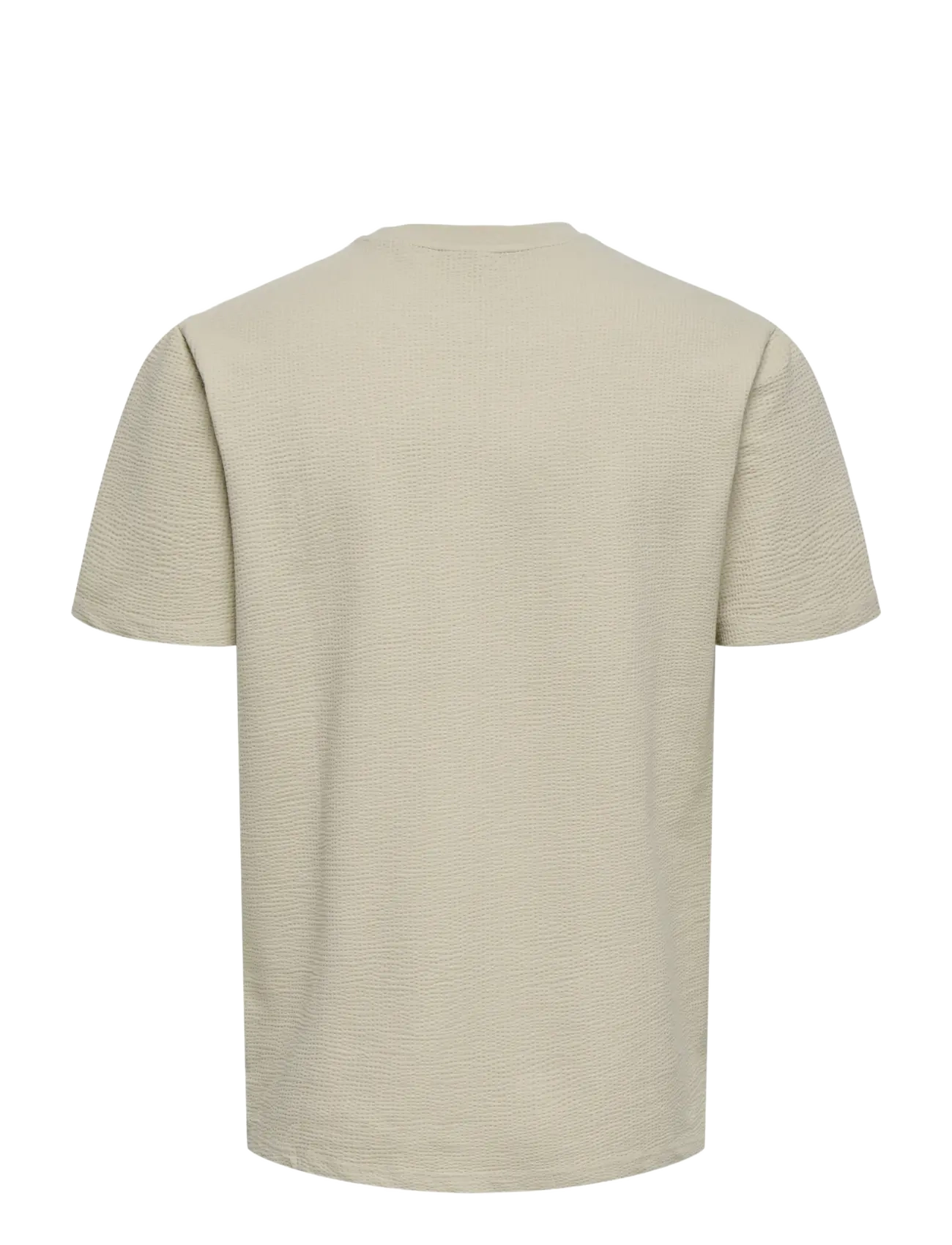 ONLY & SONS - ONSKIAN LIFE REG SEERSUCKER SS TEE NOOS - kortærmede t-shirts - silver lining - 2