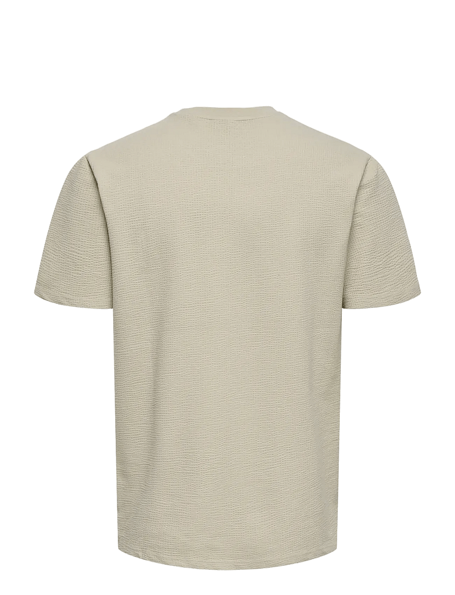 ONLY & SONS - ONSKIAN LIFE REG SEERSUCKER SS TEE NOOS - kortærmede t-shirts - silver lining - 2
