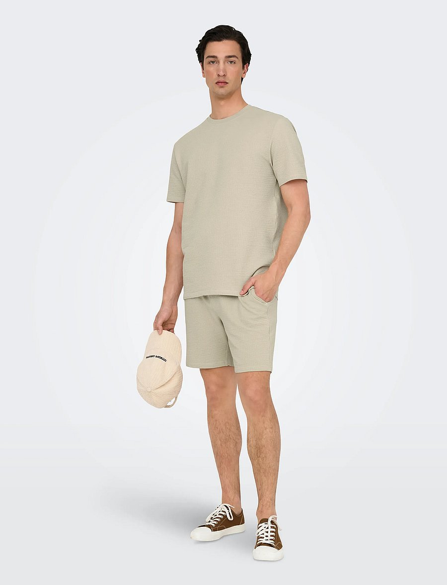 ONLY & SONS - ONSKIAN LIFE REG SEERSUCKER SS TEE NOOS - kortærmede t-shirts - silver lining - 4