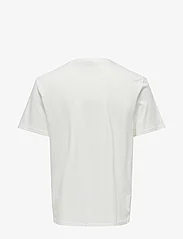 ONLY & SONS - ONSKOLTON REG BEACH PHOTOPRINT SS TEE - lowest prices - cloud dancer - 1