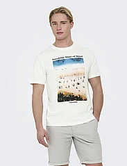 ONLY & SONS - ONSKOLTON REG BEACH PHOTOPRINT SS TEE - alhaisimmat hinnat - cloud dancer - 2