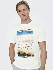 ONLY & SONS - ONSKOLTON REG BEACH PHOTOPRINT SS TEE - korte mouwen - cloud dancer - 4