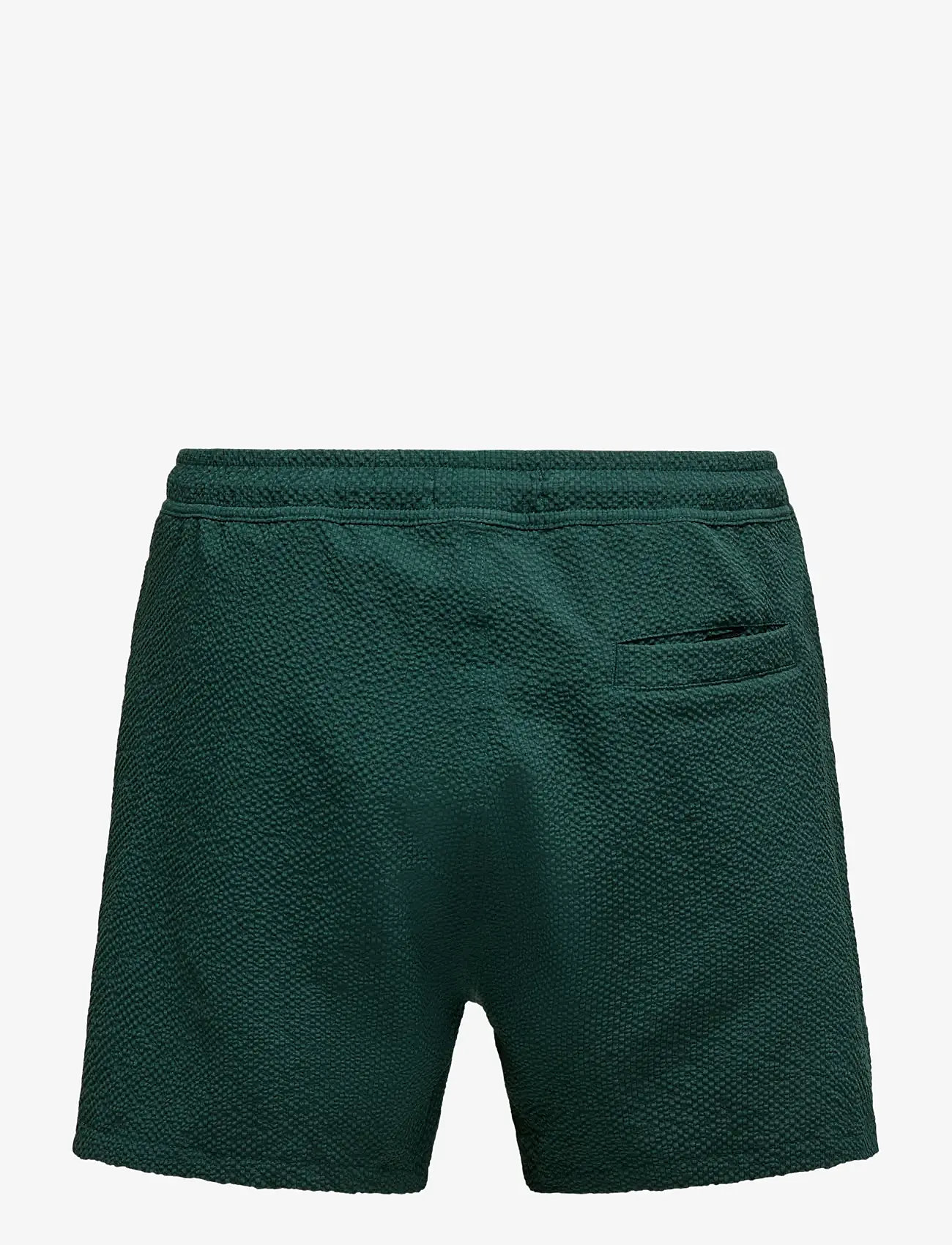 ONLY & SONS - ONSTED LIFE SOLID SEERSUCKER SWIM NOOS - badeshorts - darkest spruce - 2