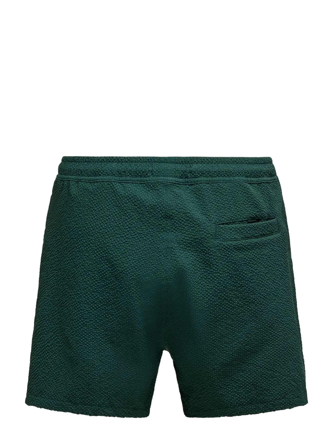 ONLY & SONS - ONSTED LIFE SOLID SEERSUCKER SWIM NOOS - swim shorts - darkest spruce - 2
