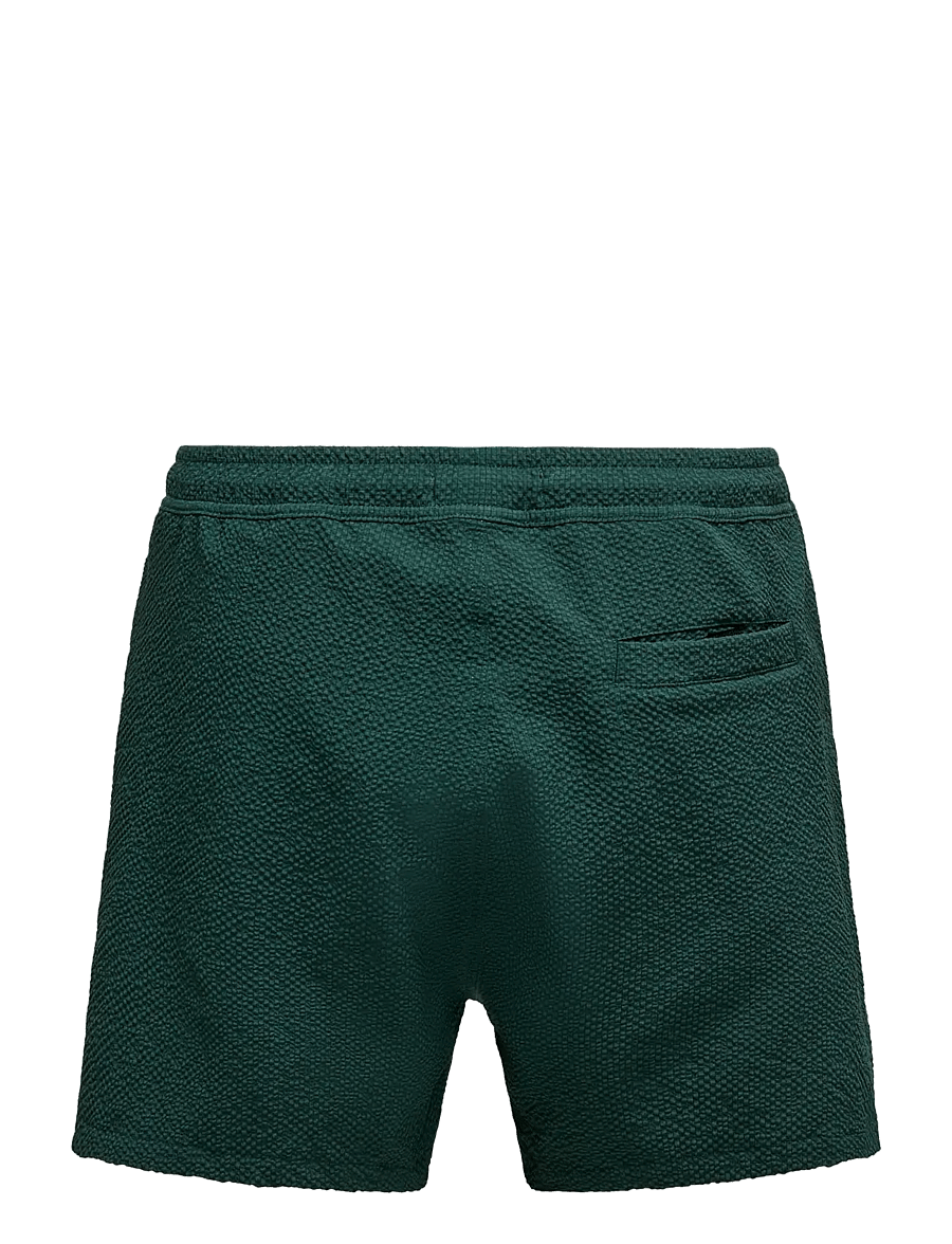 ONLY & SONS - ONSTED LIFE SOLID SEERSUCKER SWIM NOOS - badehose - darkest spruce - 2