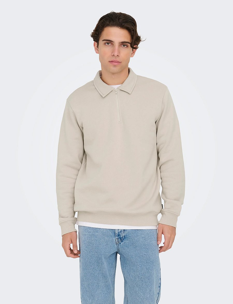 ONLY & SONS - ONSCERES 1/4 ZIP SWEAT POLO - langärmelig - silver lining - 0