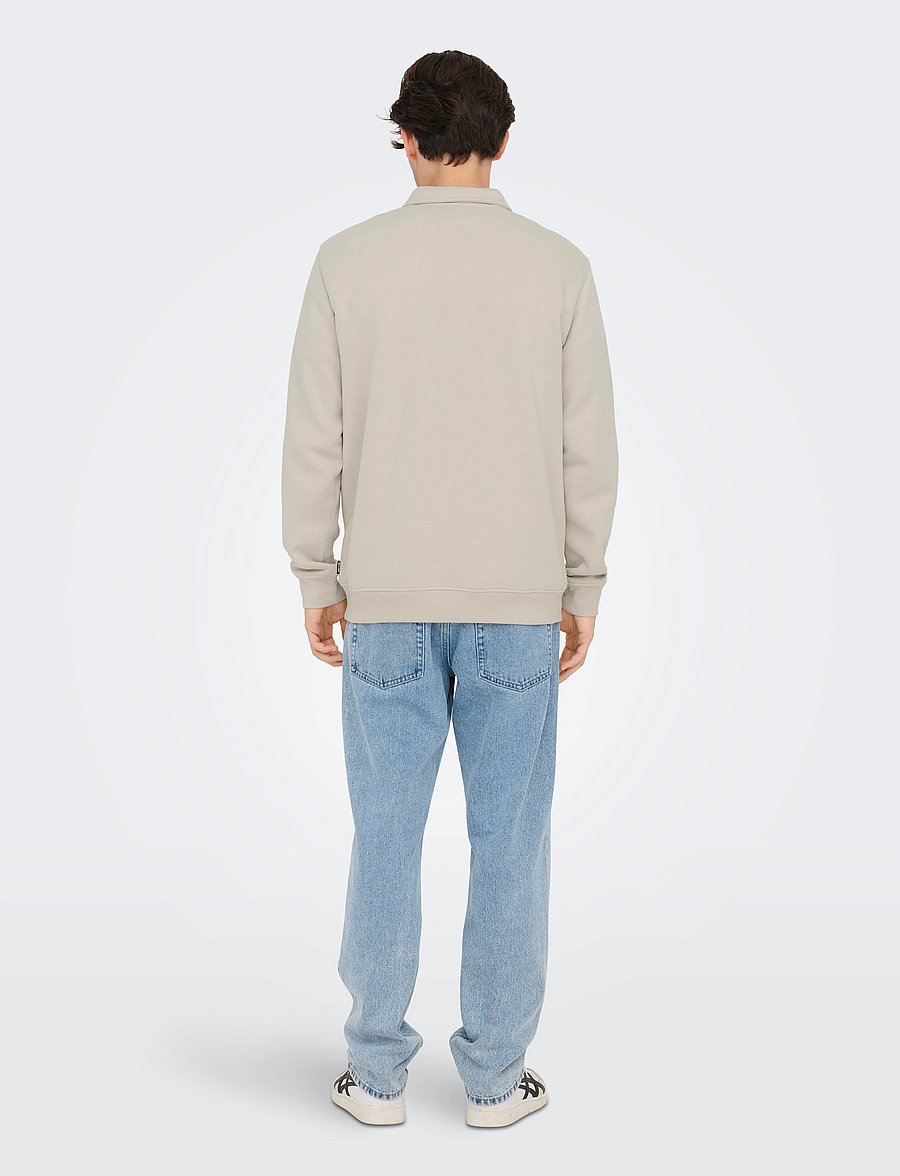 ONLY & SONS - ONSCERES 1/4 ZIP SWEAT POLO - langärmelig - silver lining - 3