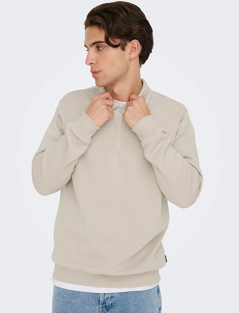 ONLY & SONS - ONSCERES 1/4 ZIP SWEAT POLO - langärmelig - silver lining - 4