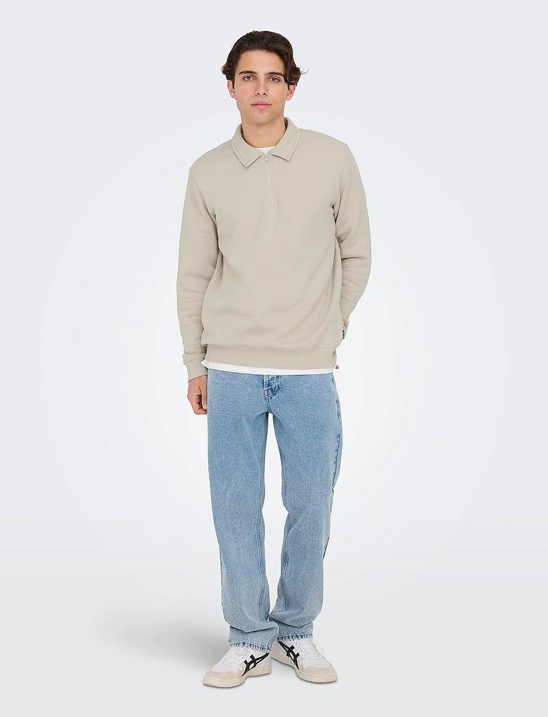 ONLY & SONS - ONSCERES 1/4 ZIP SWEAT POLO - langärmelig - silver lining - 5