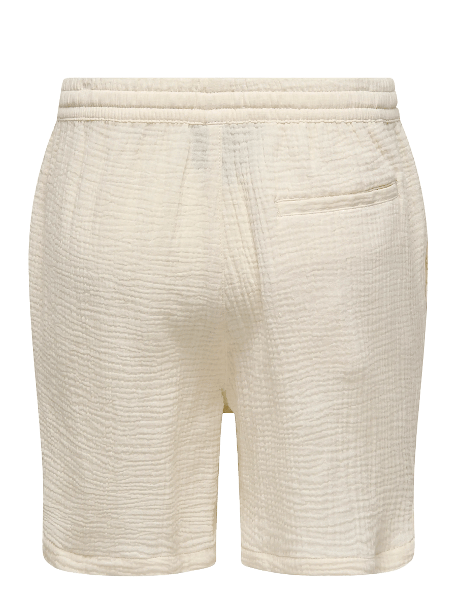 ONLY & SONS - ONSTEL-PAS 0158 SHORTS - lühikesed vabaajapüksid - egret - 2