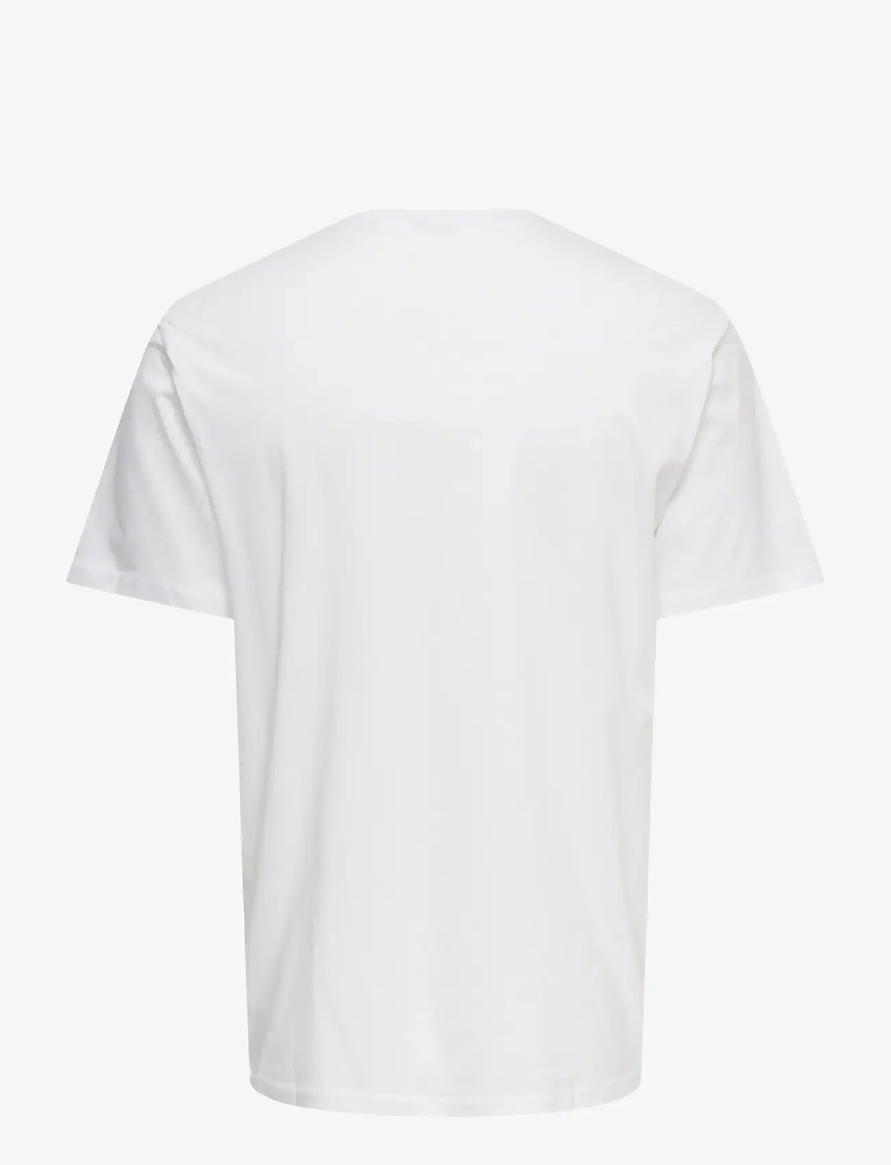 ONLY & SONS - ONSMAGDY LIFE REG PHOTOPRINT SS TEE - stutterma bolir - bright white - 1
