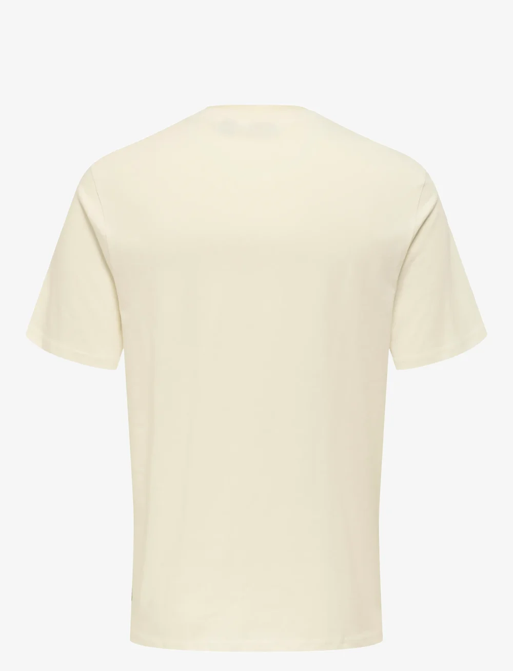 ONLY & SONS - ONSMAGDY LIFE REG PHOTOPRINT SS TEE - lühikeste varrukatega t-särgid - cloud dancer - 2