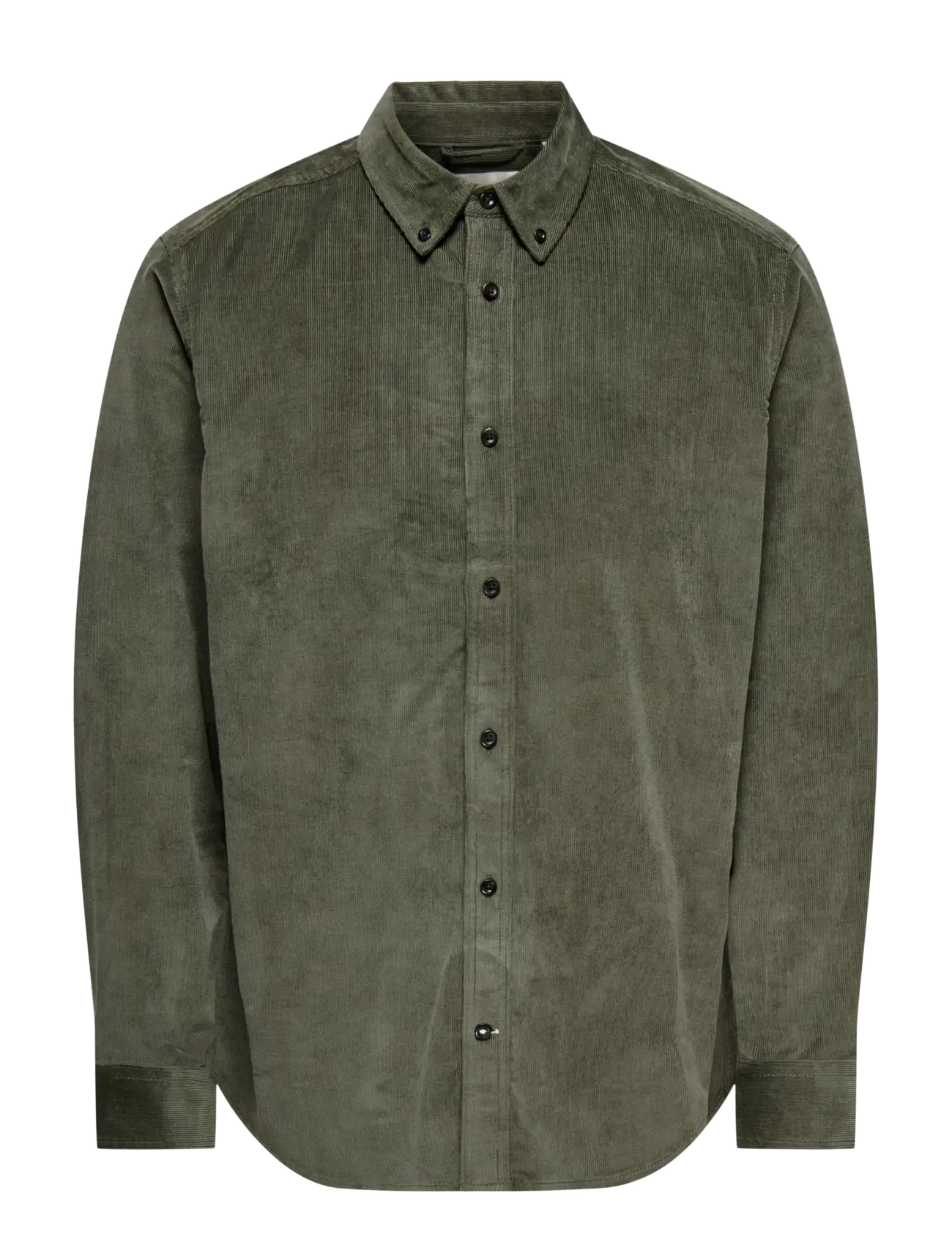 CASTOR GRAY
