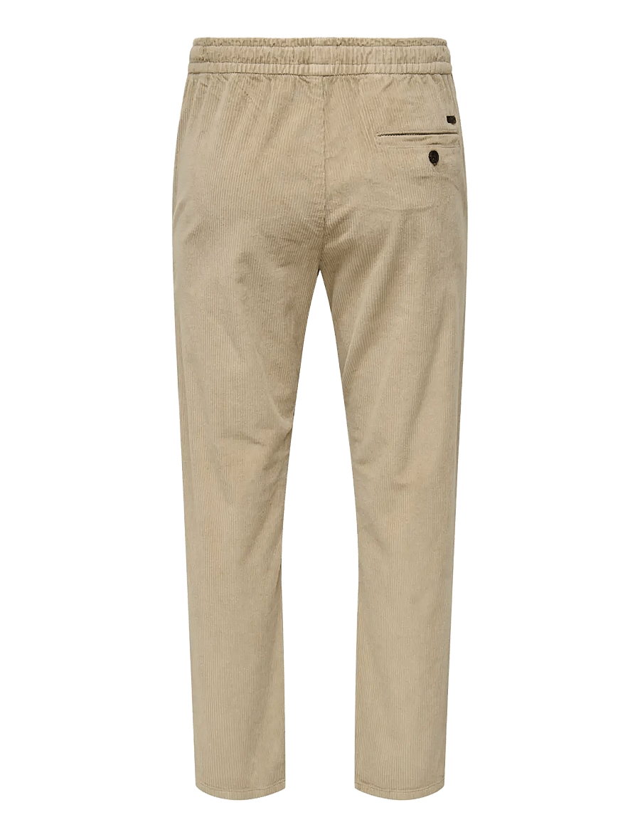 ONLY & SONS - ONSLINUS TAP CORDUROY 0185 PANT NOOS - freizeithosen - chinchilla - 2