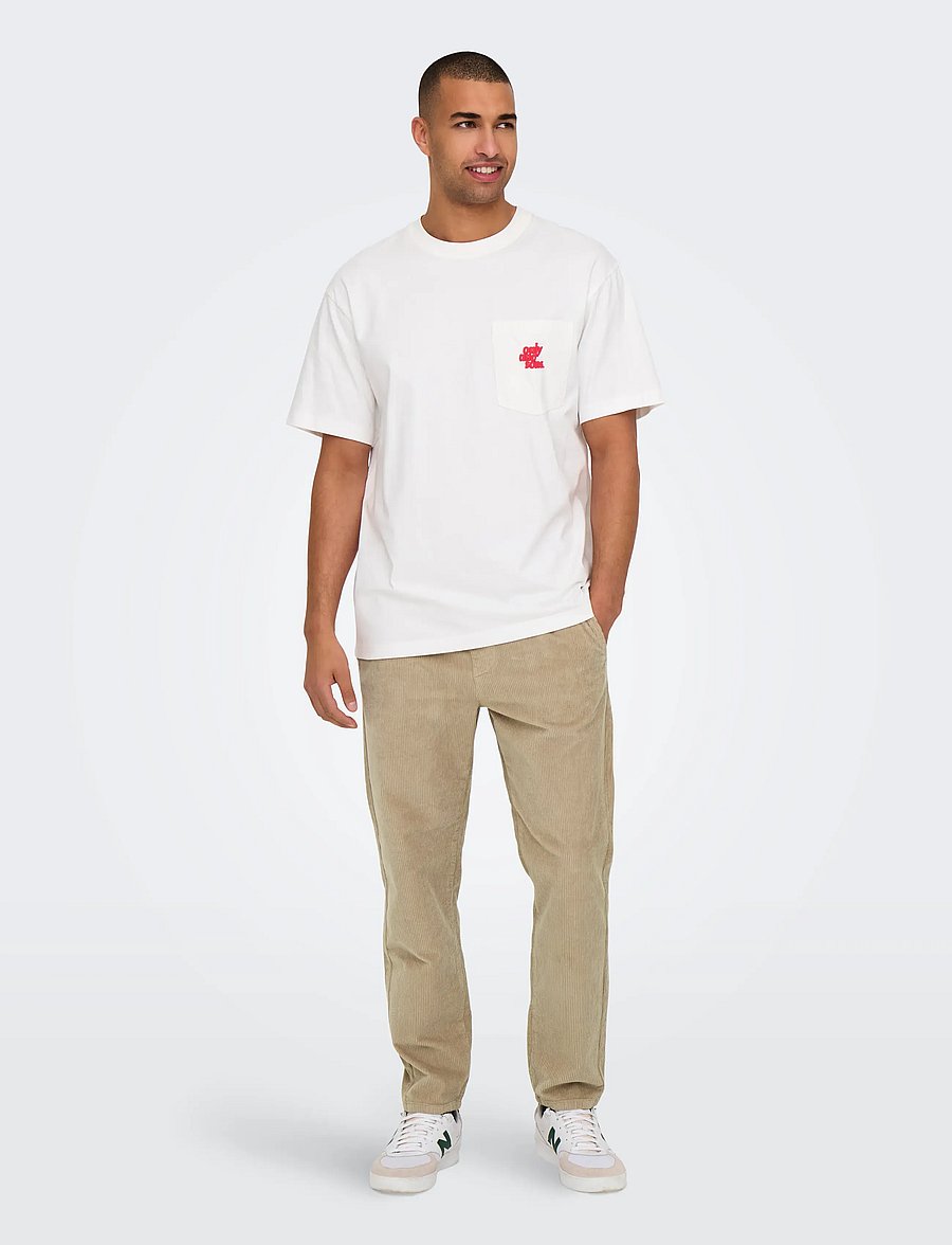 ONLY & SONS - ONSLINUS TAP CORDUROY 0185 PANT NOOS - freizeithosen - chinchilla - 4