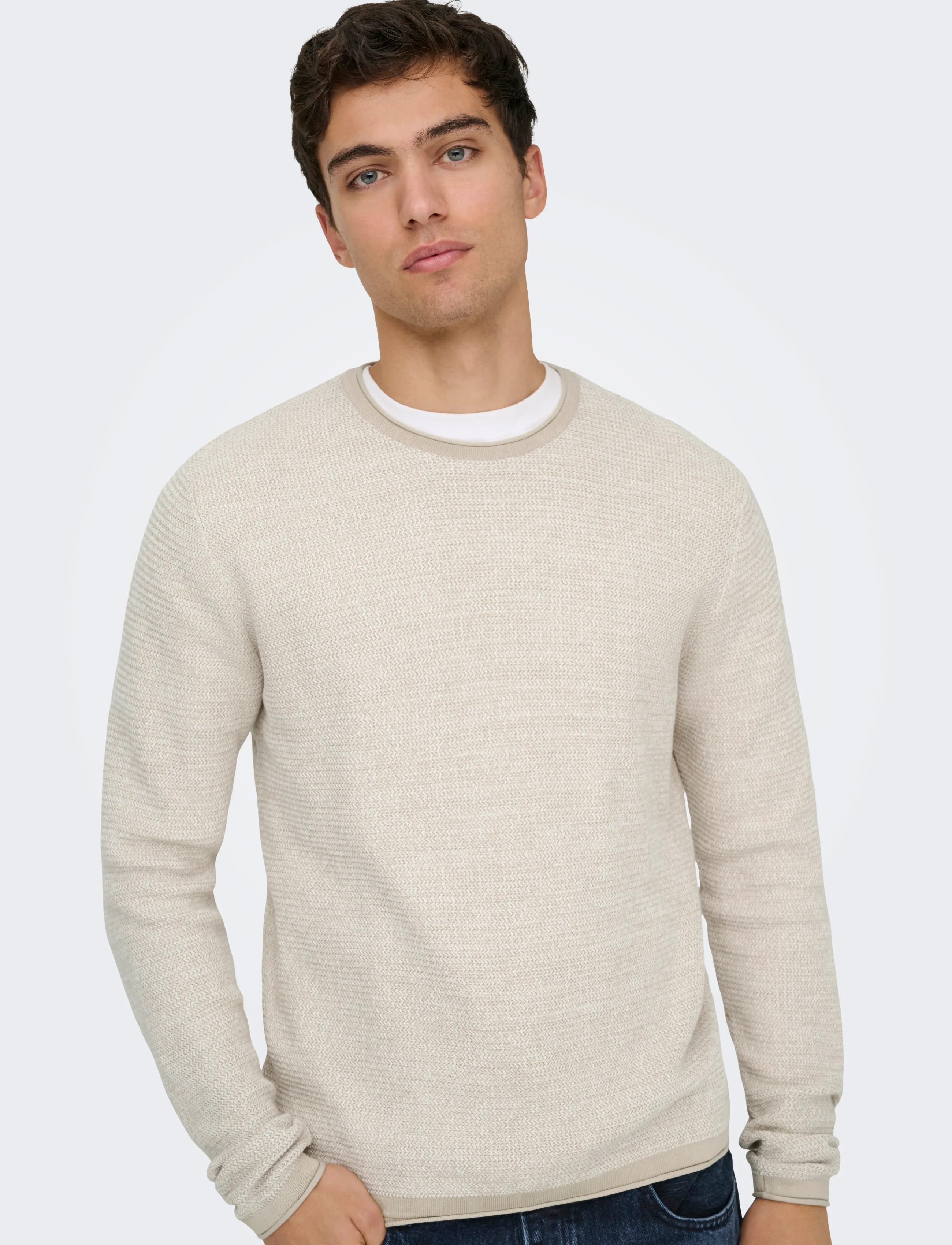 ONLY & SONS ONSERIC REG 12 STRUC CREW KNIT NOOS - Kleidung - SILVER LINING / beige