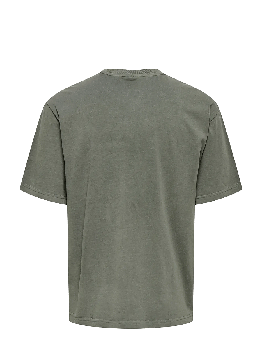 ONLY & SONS - ONSDISTRESS RLX SS TEE NOOS - kortärmade t-shirts - castor gray - 2