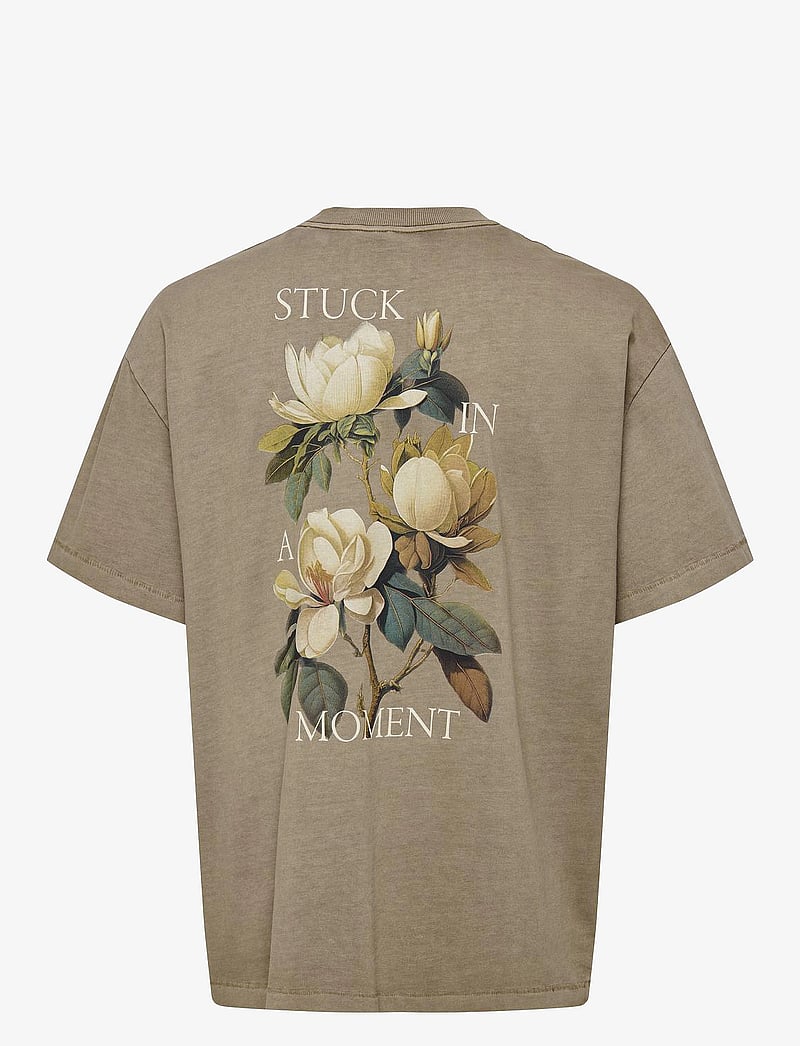 ONLY & SONS - ONSAARAV LIFE OVZ SS TEE - kurzärmelig - desert taupe - 1