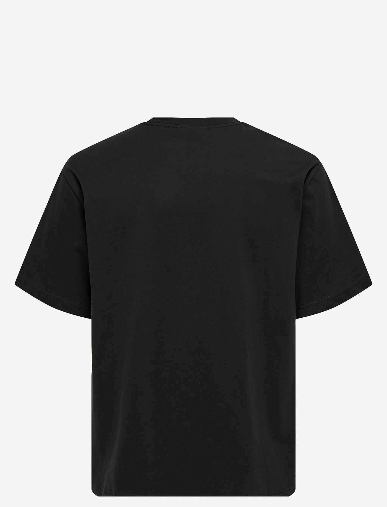 ONLY & SONS - ONSCURATED RLX PRINT SS TEE NOOS - black - 1