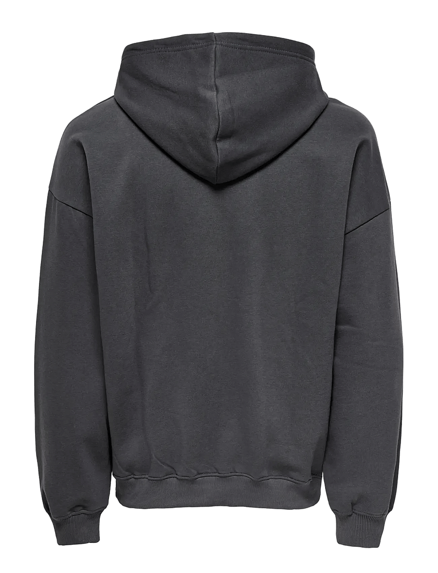 ONLY & SONS - ONSTURNER LIFE VTG HOODIE SWEAT NOOS - hoodies - grey pinstripe - 2