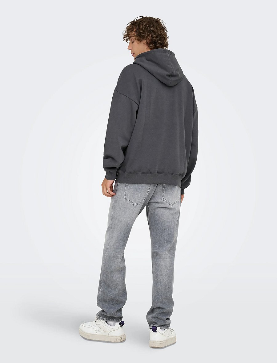 ONLY & SONS - ONSTURNER LIFE VTG HOODIE SWEAT NOOS - hoodies - grey pinstripe - 3