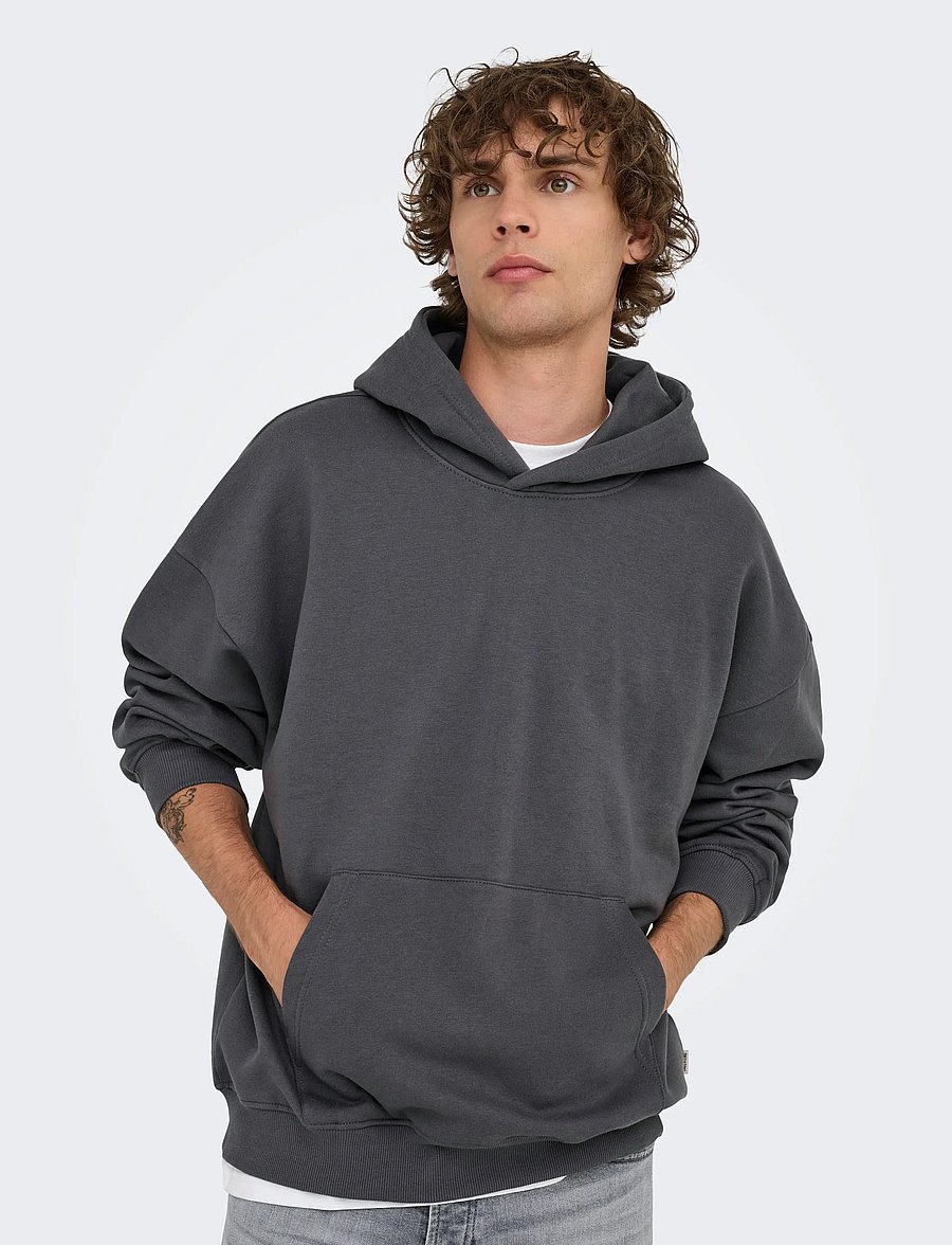 ONLY & SONS - ONSTURNER LIFE VTG HOODIE SWEAT NOOS - hoodies - grey pinstripe - 4