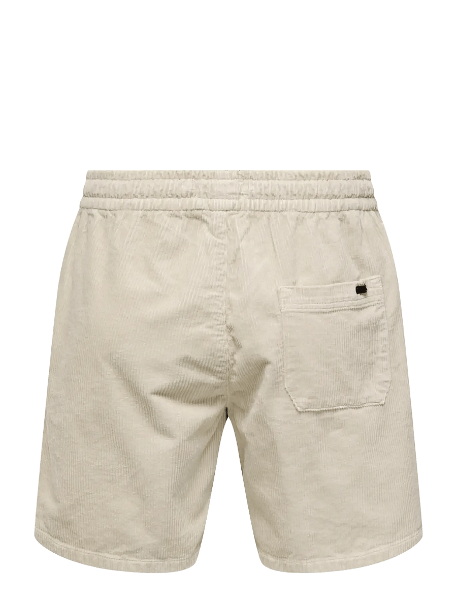 ONLY & SONS - ONSTEL CORDUROY 0185 SHORTS NOOS - freizeitshorts - silver lining - 2