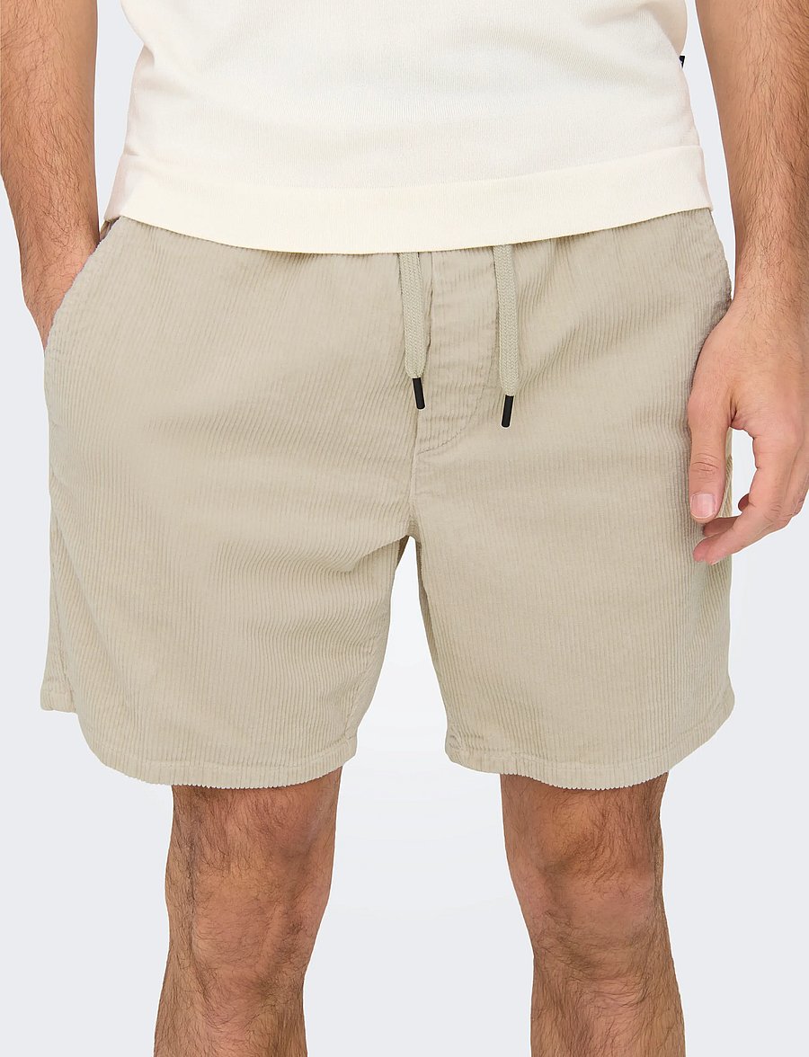ONLY & SONS - ONSTEL CORDUROY 0185 SHORTS NOOS - freizeitshorts - silver lining - 5