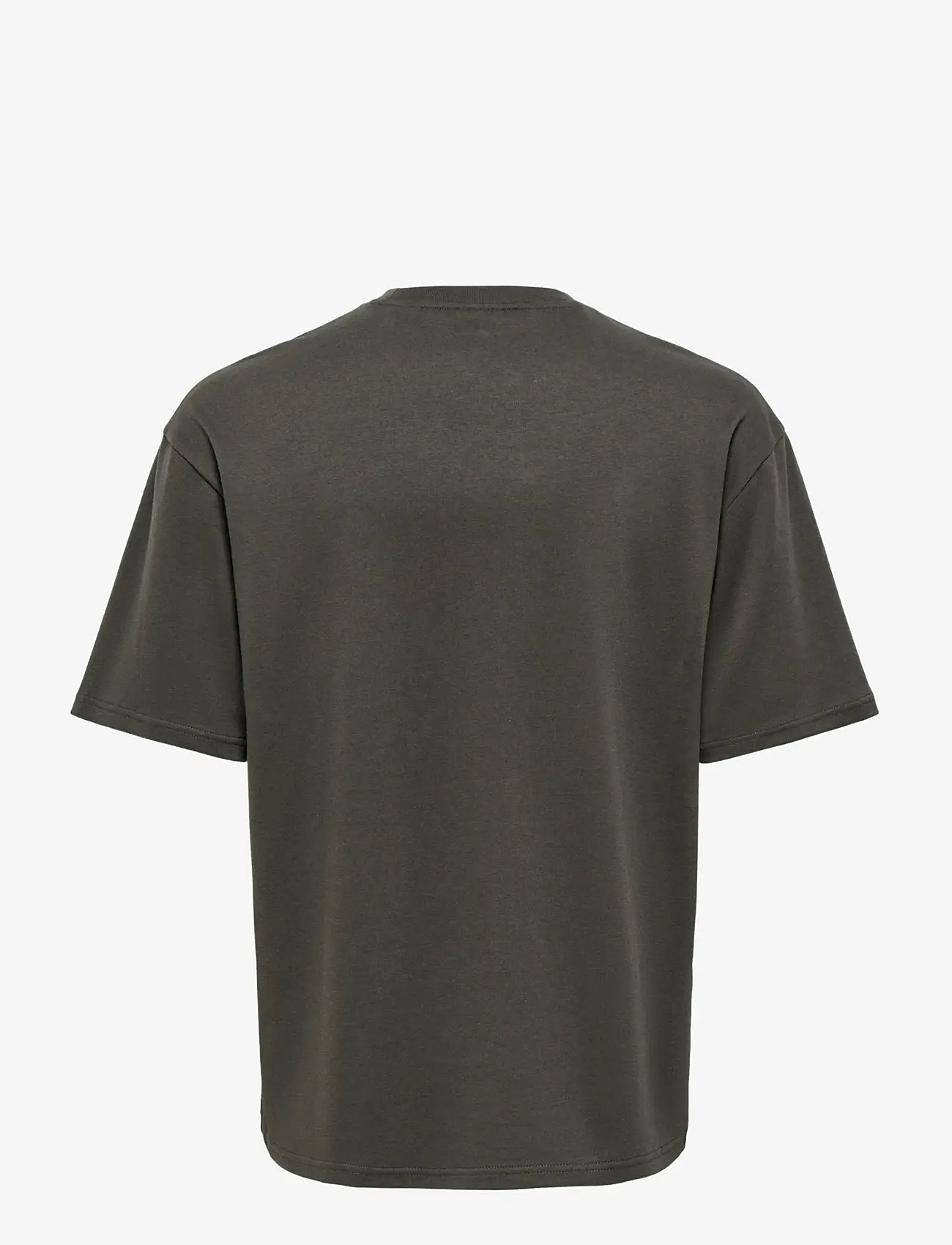 ONLY & SONS - ONSCASPIAN AIRFLEX BOXY SS TEE NOOS - short-sleeved t-shirts - beluga - 1