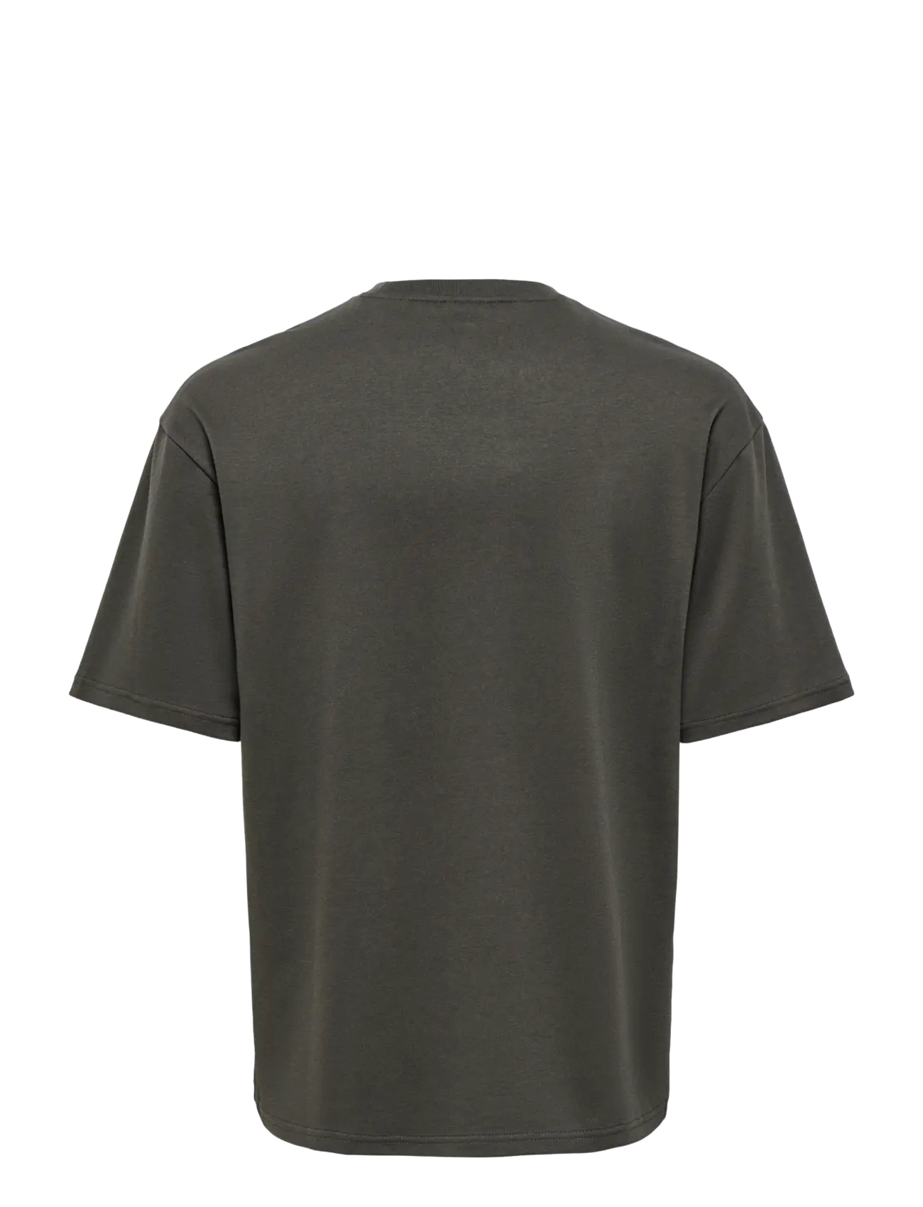 ONLY & SONS - ONSCASPIAN AIRFLEX BOXY SS TEE NOOS - kurzärmelig - beluga - 1