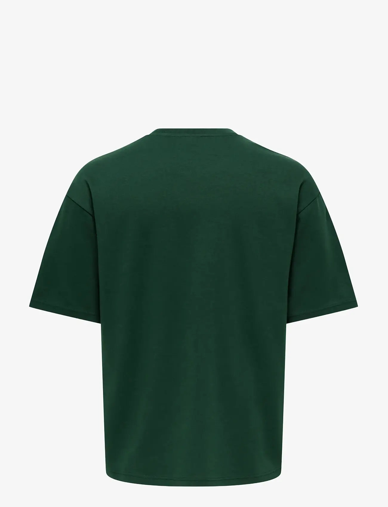 ONLY & SONS - ONSCASPIAN AIRFLEX BOXY SS TEE NOOS - kortærmede t-shirts - pine grove - 2