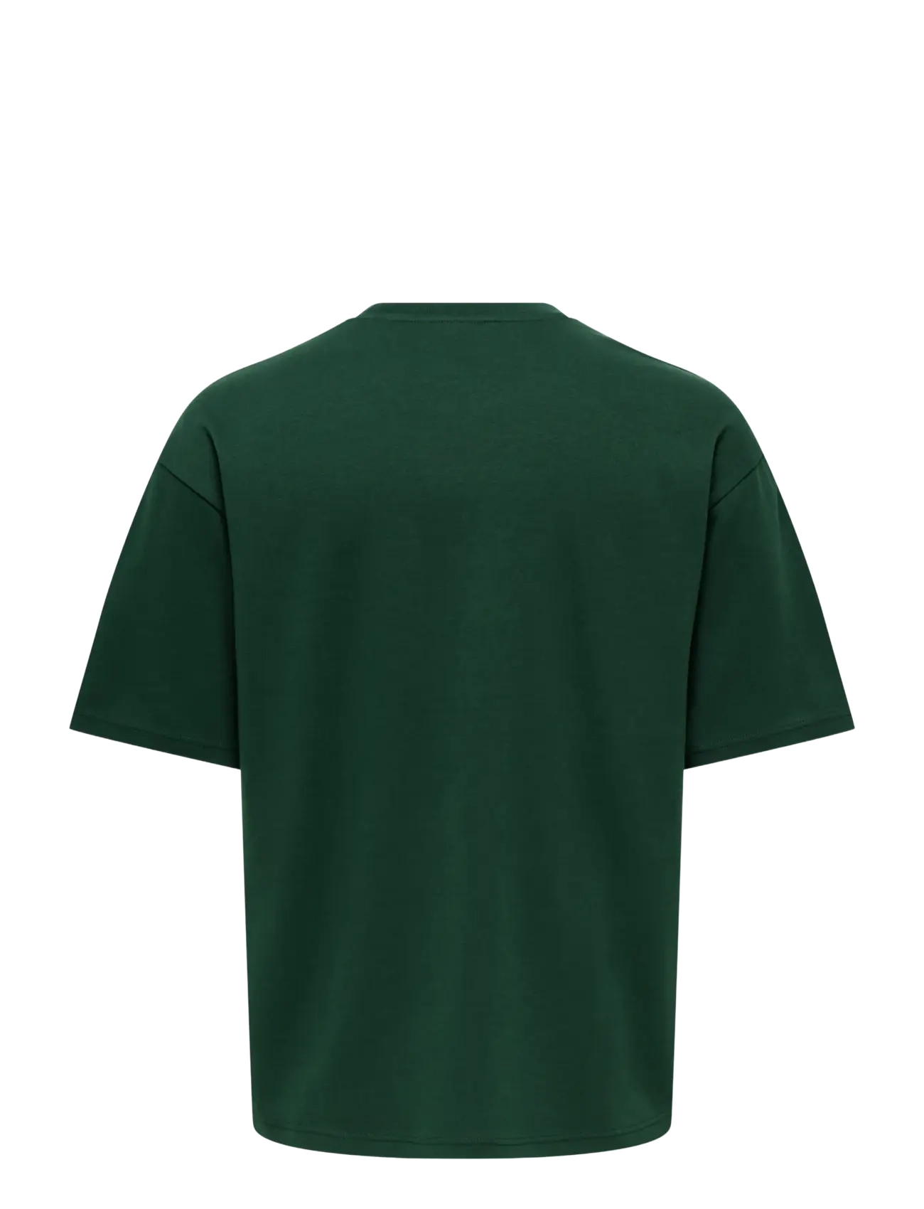 ONLY & SONS - ONSCASPIAN AIRFLEX BOXY SS TEE NOOS - kurzärmelig - pine grove - 2
