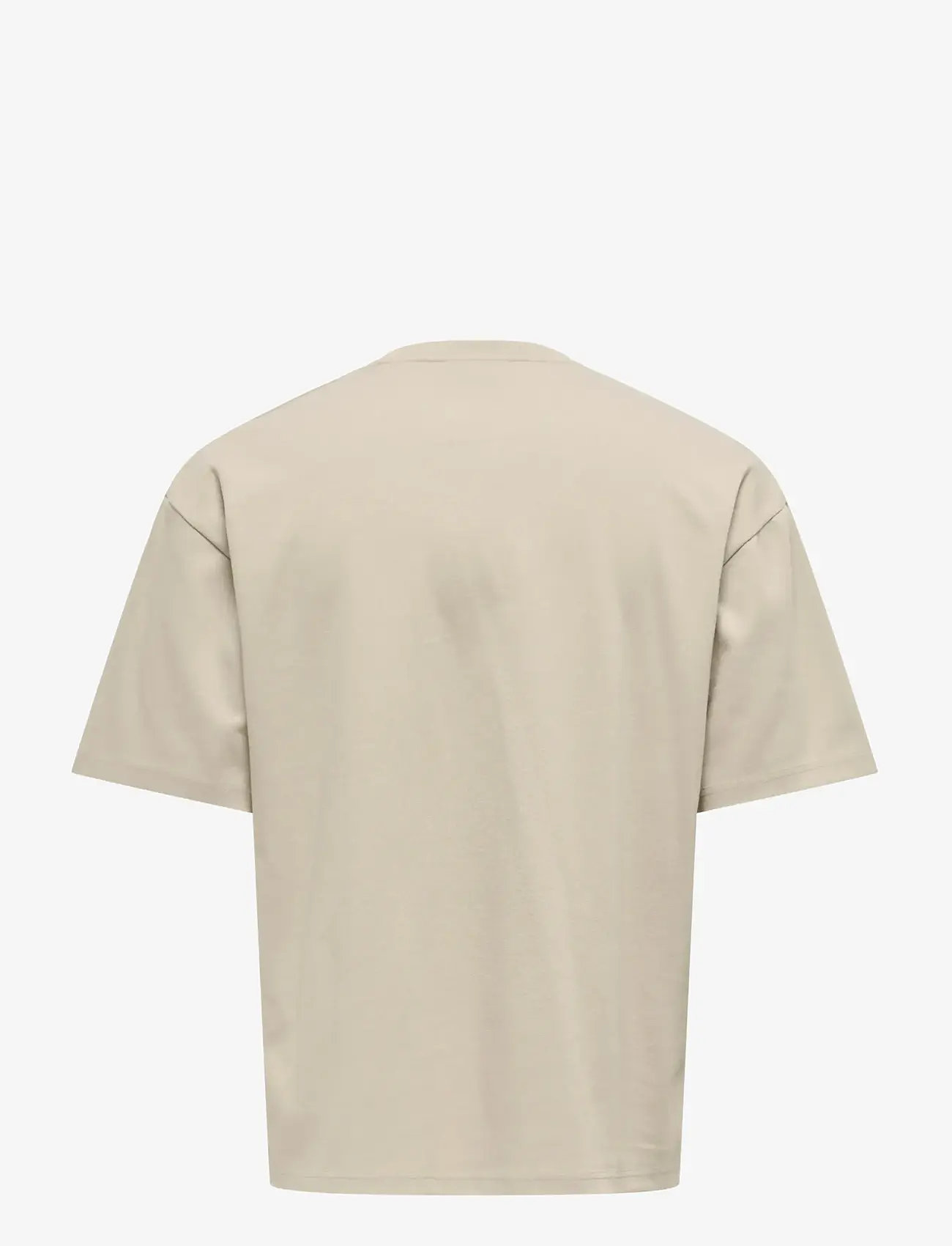 ONLY & SONS - ONSCASPIAN AIRFLEX BOXY SS TEE NOOS - lühikeste varrukatega t-särgid - silver lining - 2