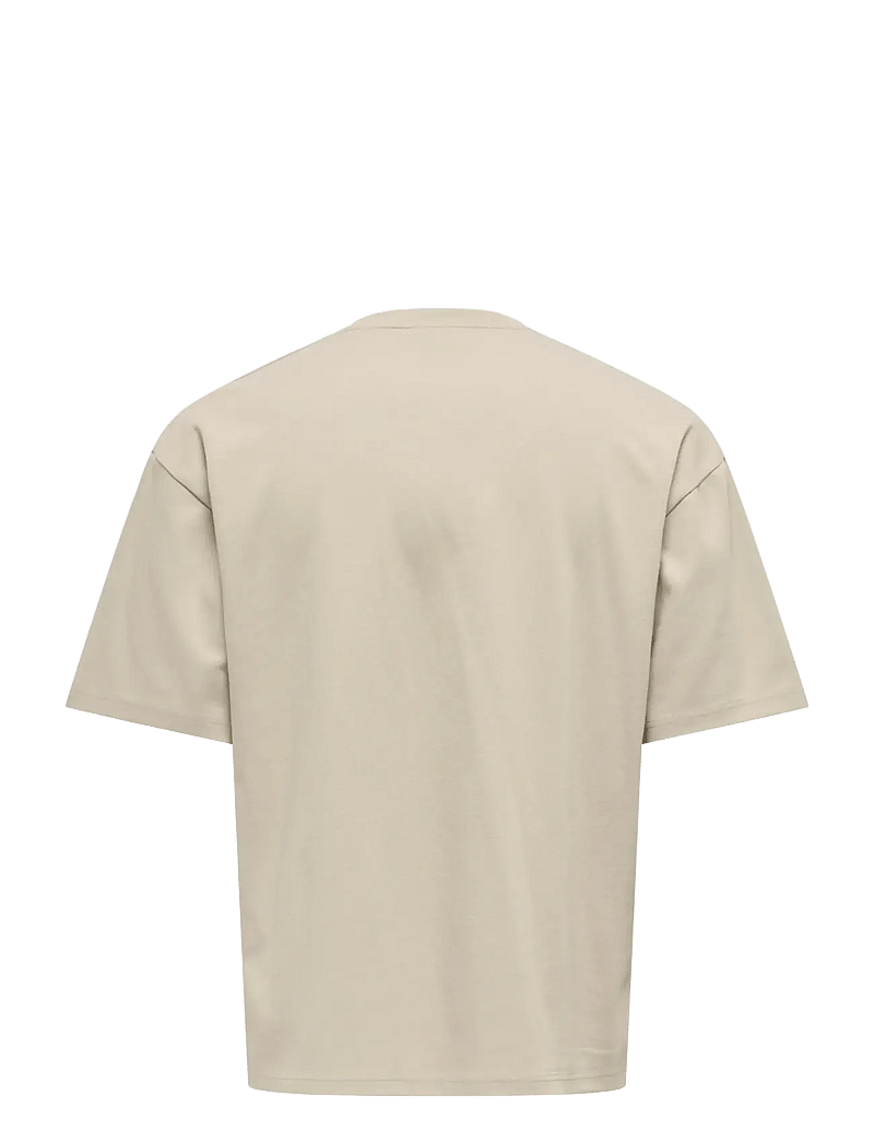 ONLY & SONS - ONSCASPIAN AIRFLEX BOXY SS TEE NOOS - lühikeste varrukatega t-särgid - silver lining - 2