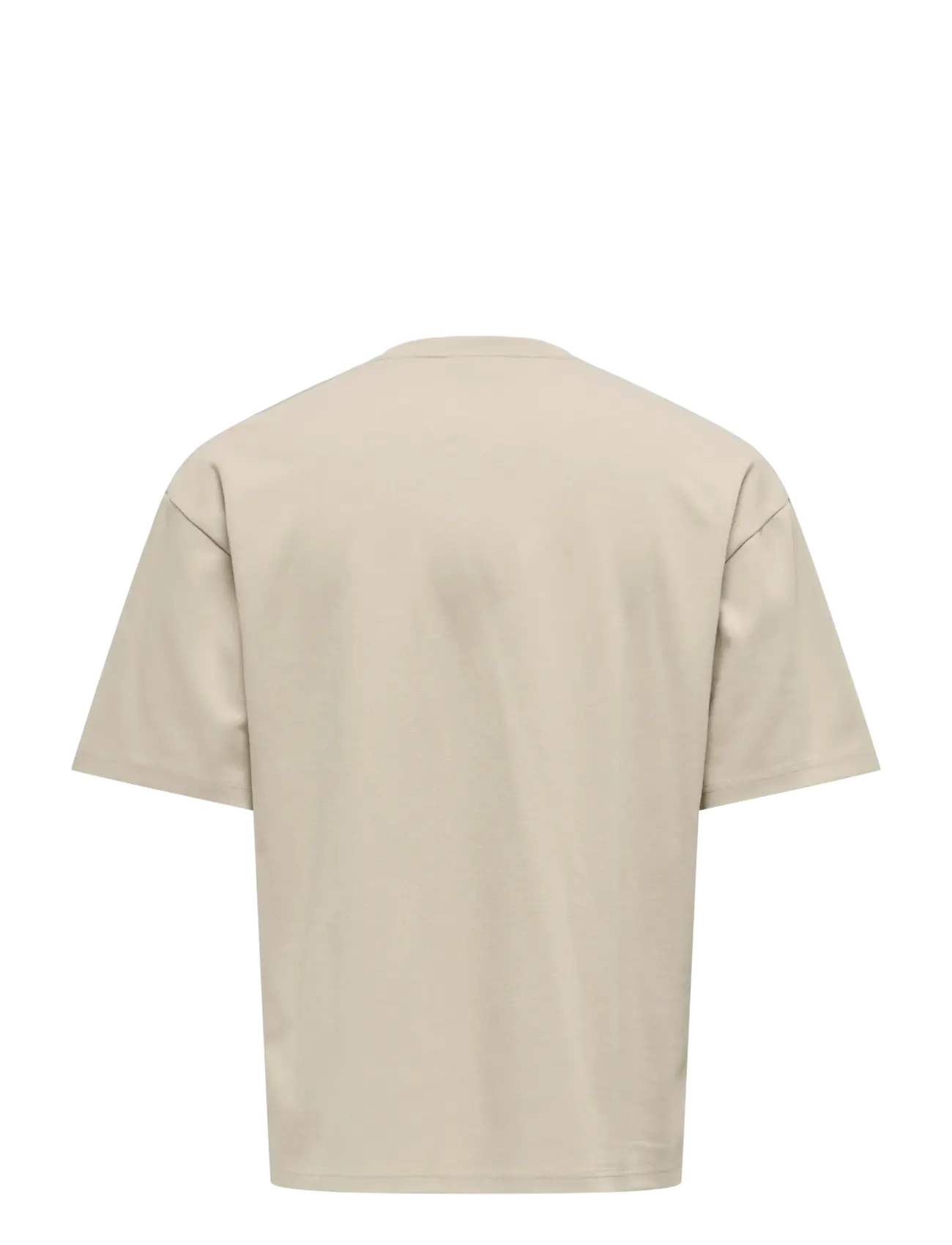 ONLY & SONS - ONSCASPIAN AIRFLEX BOXY SS TEE NOOS - kurzärmelig - silver lining - 2