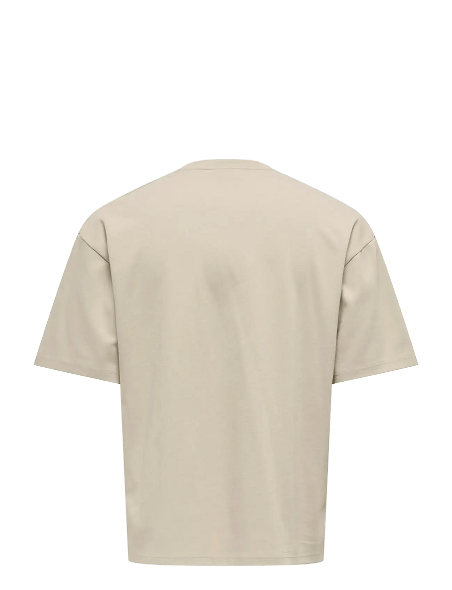 ONLY & SONS - ONSCASPIAN AIRFLEX BOXY SS TEE NOOS - lühikeste varrukatega t-särgid - silver lining - 2