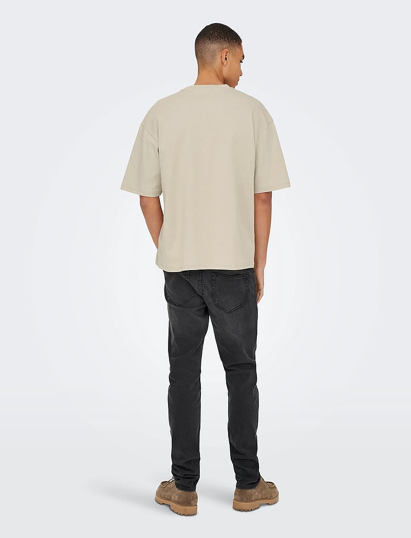 ONLY & SONS - ONSCASPIAN AIRFLEX BOXY SS TEE NOOS - lühikeste varrukatega t-särgid - silver lining - 3