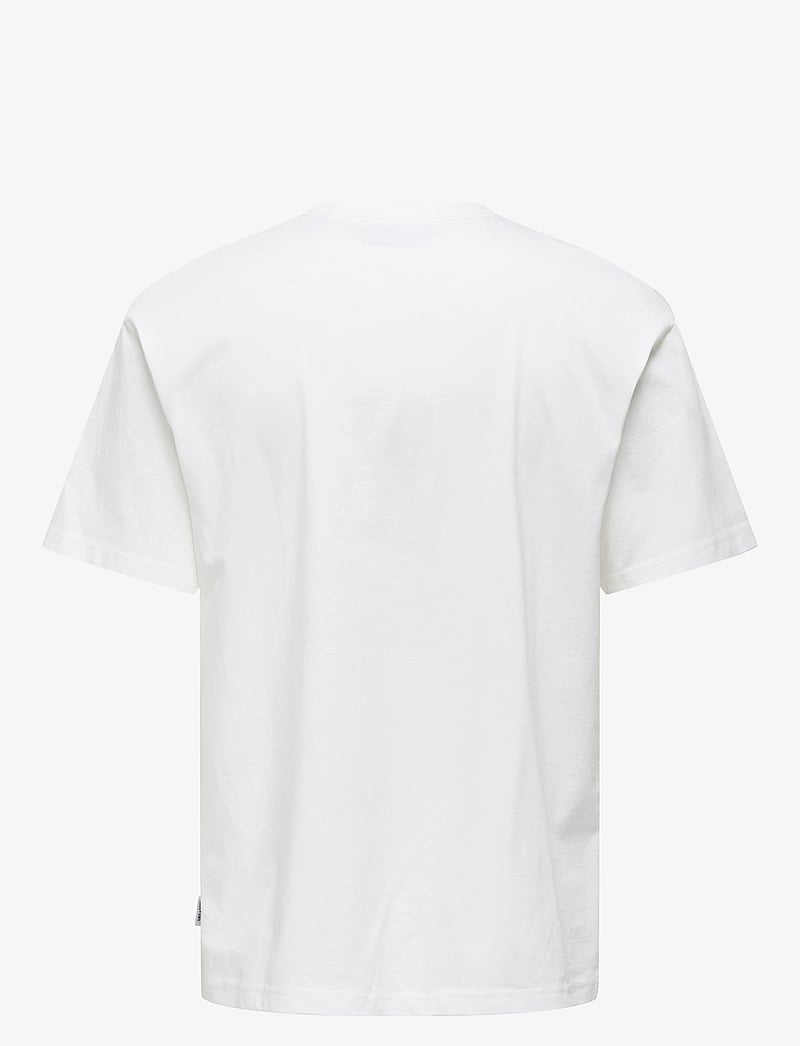 ONLY & SONS - ONSDASH RLX SS TEE VD - kortärmade t-shirts - cloud dancer - 2