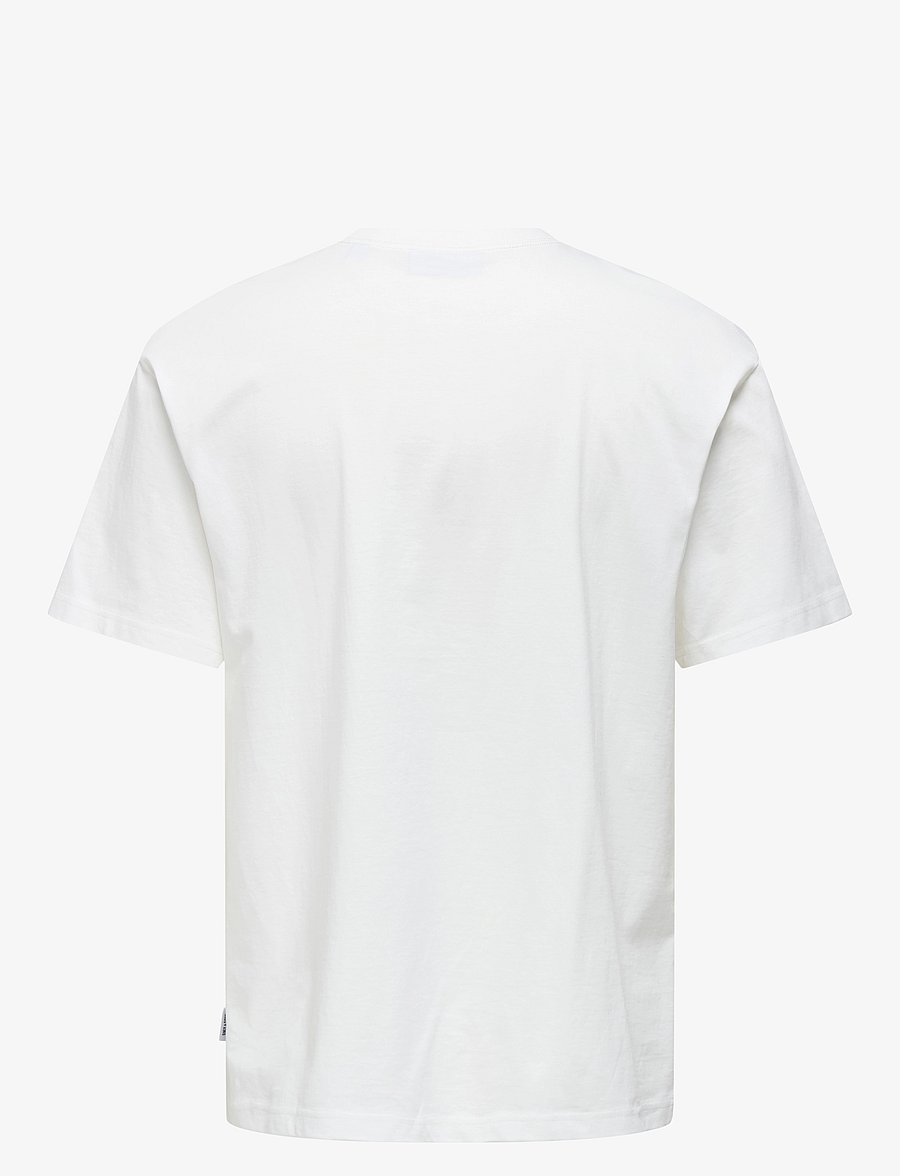 ONLY & SONS - ONSDASH RLX SS TEE VD - kurzärmelige t-shirts - cloud dancer - 2