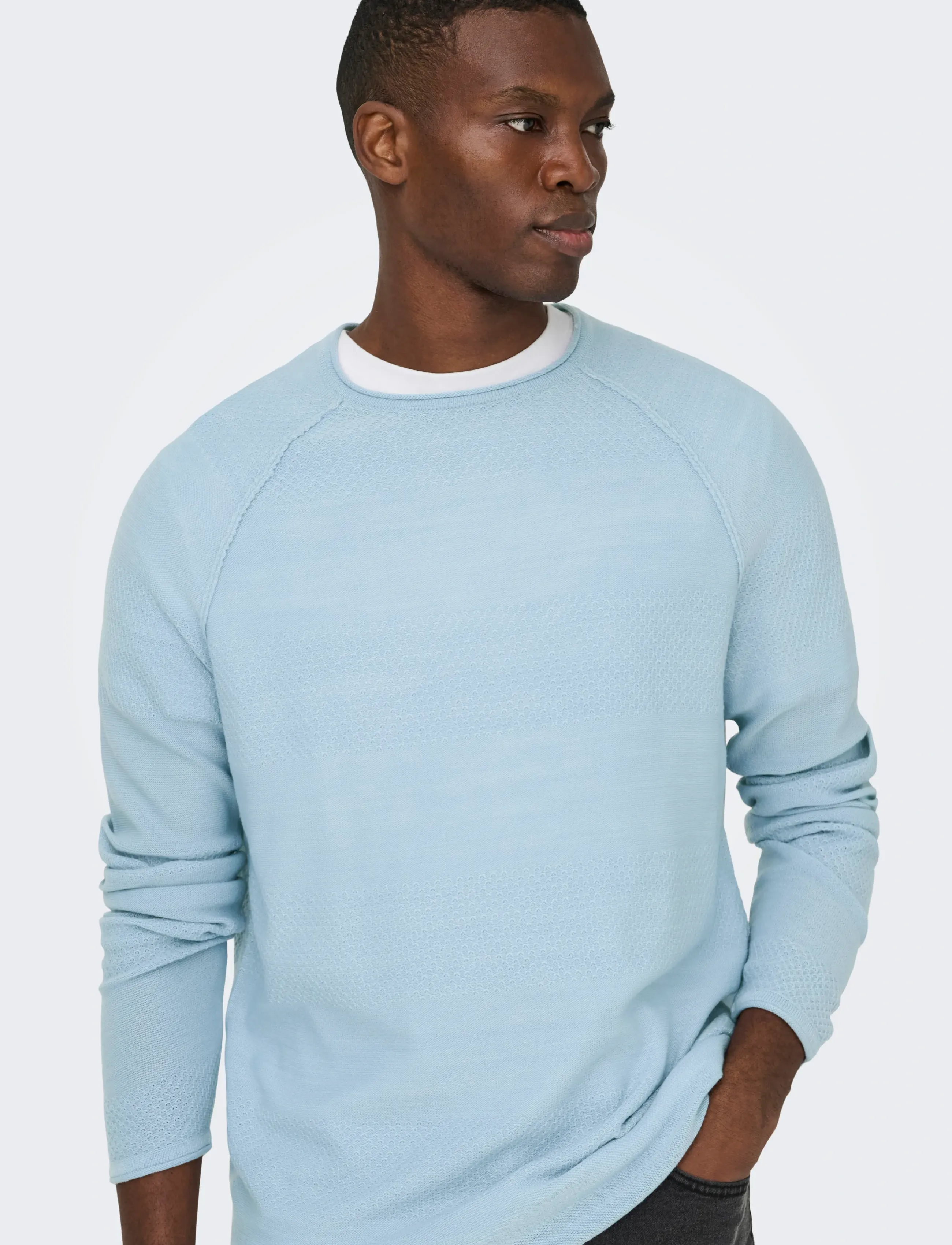 ONLY & SONS ONSAPOLLO REG LS STRUC CREW KNIT - Rundhals - BLUE FOG / blue