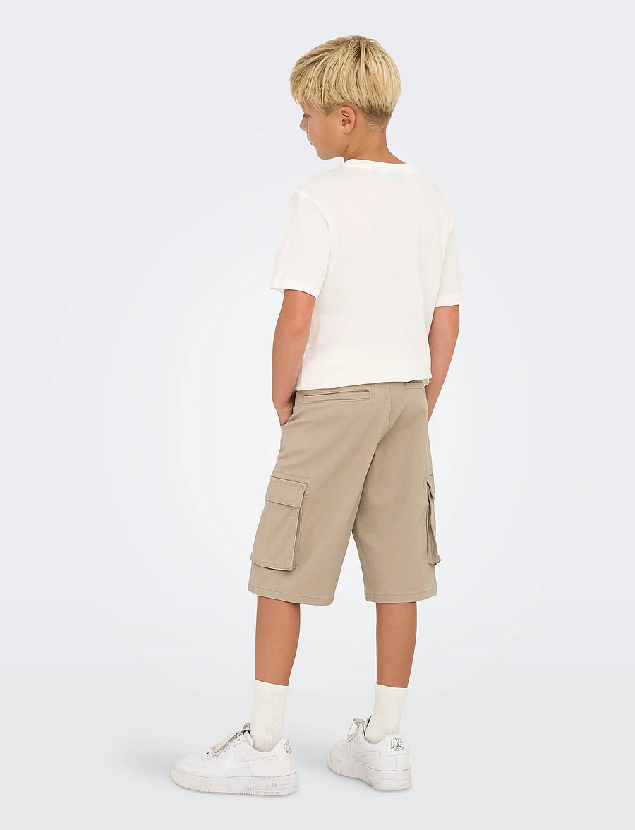 ONLY & SONS - OSJCAM STAGE CARGO SHORTS LIFE PNT - lühikesed kargopüksid - chinchilla - 3