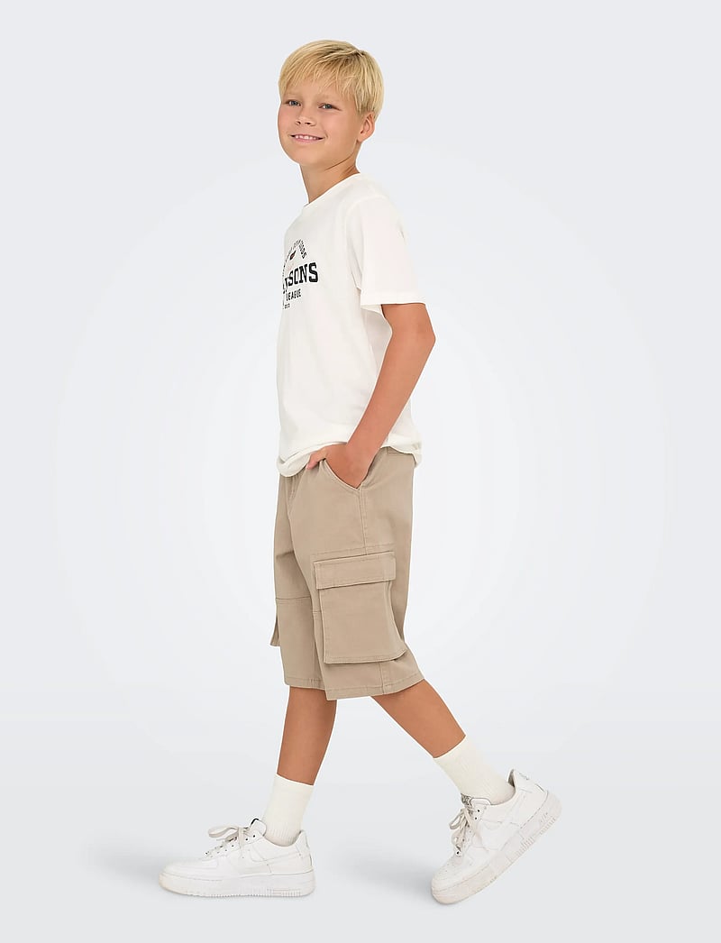 ONLY & SONS - OSJCAM STAGE CARGO SHORTS LIFE PNT - cargo shorts - chinchilla - 4