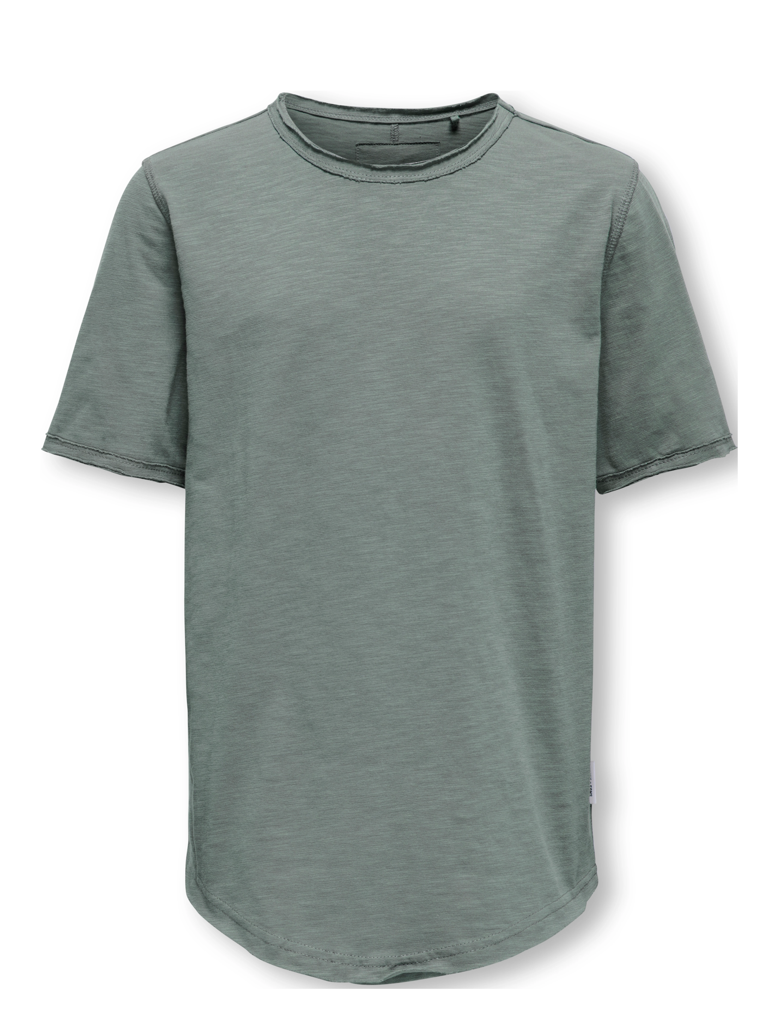 ONLY & SONS OSJBENNE LONGY SS TEE JRS NOOS - Deals - CASTOR GRAY / green