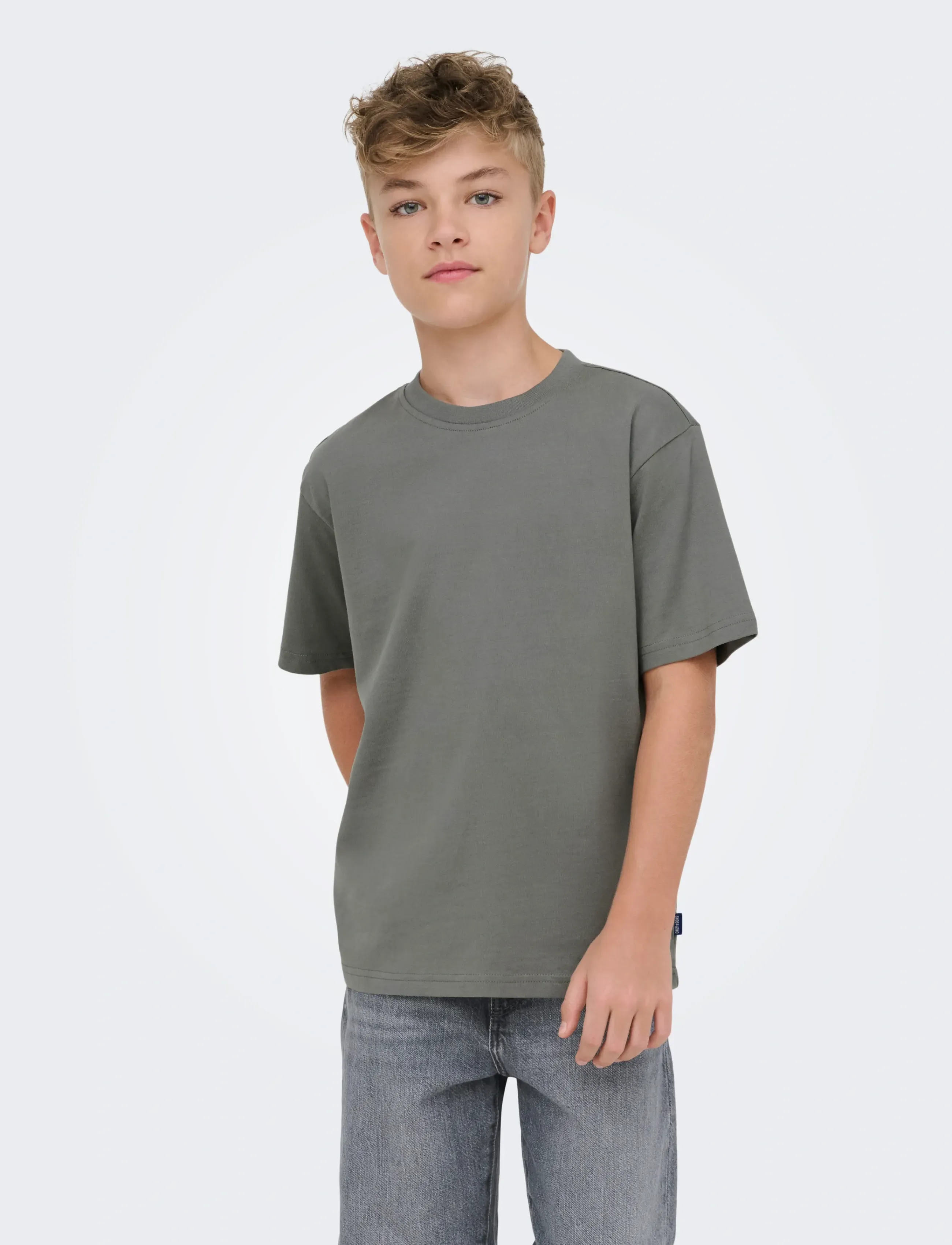 ONLY & SONS OSJFRED LIFE RLX SS TEE JRS NOOS - Toppar & T-shirts - CASTOR GRAY / grey