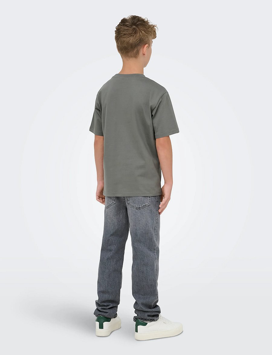 ONLY & SONS - OSJFRED LIFE RLX SS TEE JRS NOOS - kurzärmelige - castor gray - 3