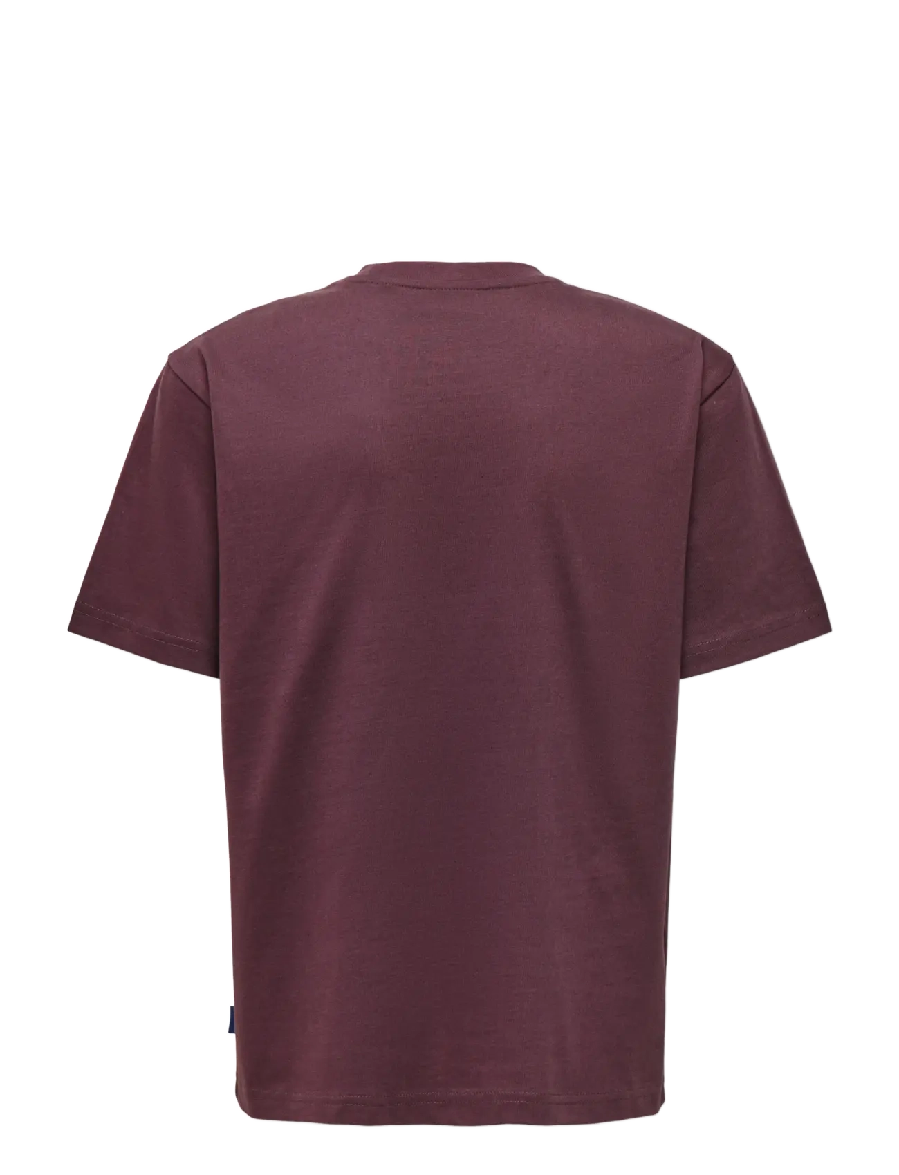 ONLY & SONS - OSJFRED LIFE RLX SS TEE JRS NOOS - short-sleeved t-shirts - huckleberry - 1