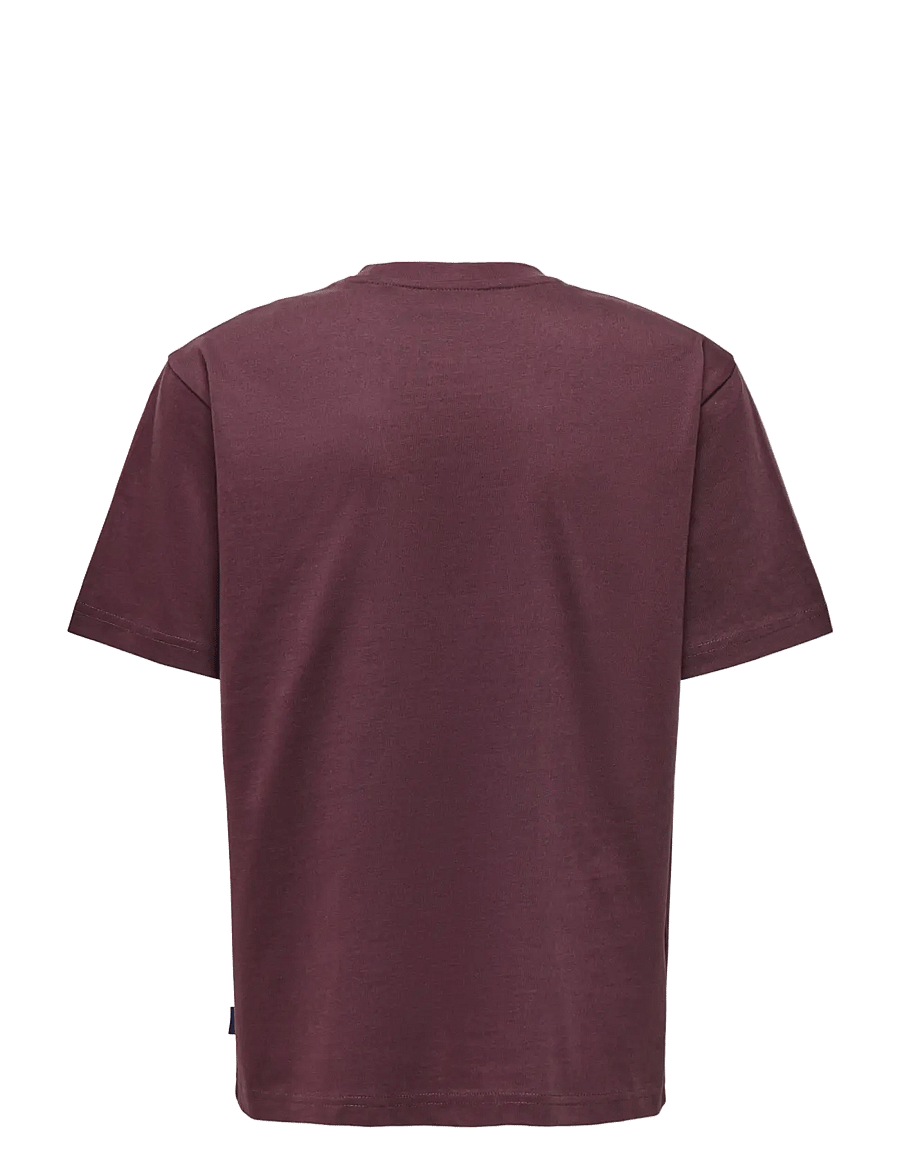 ONLY & SONS - OSJFRED LIFE RLX SS TEE JRS NOOS - kurzärmelige - huckleberry - 1