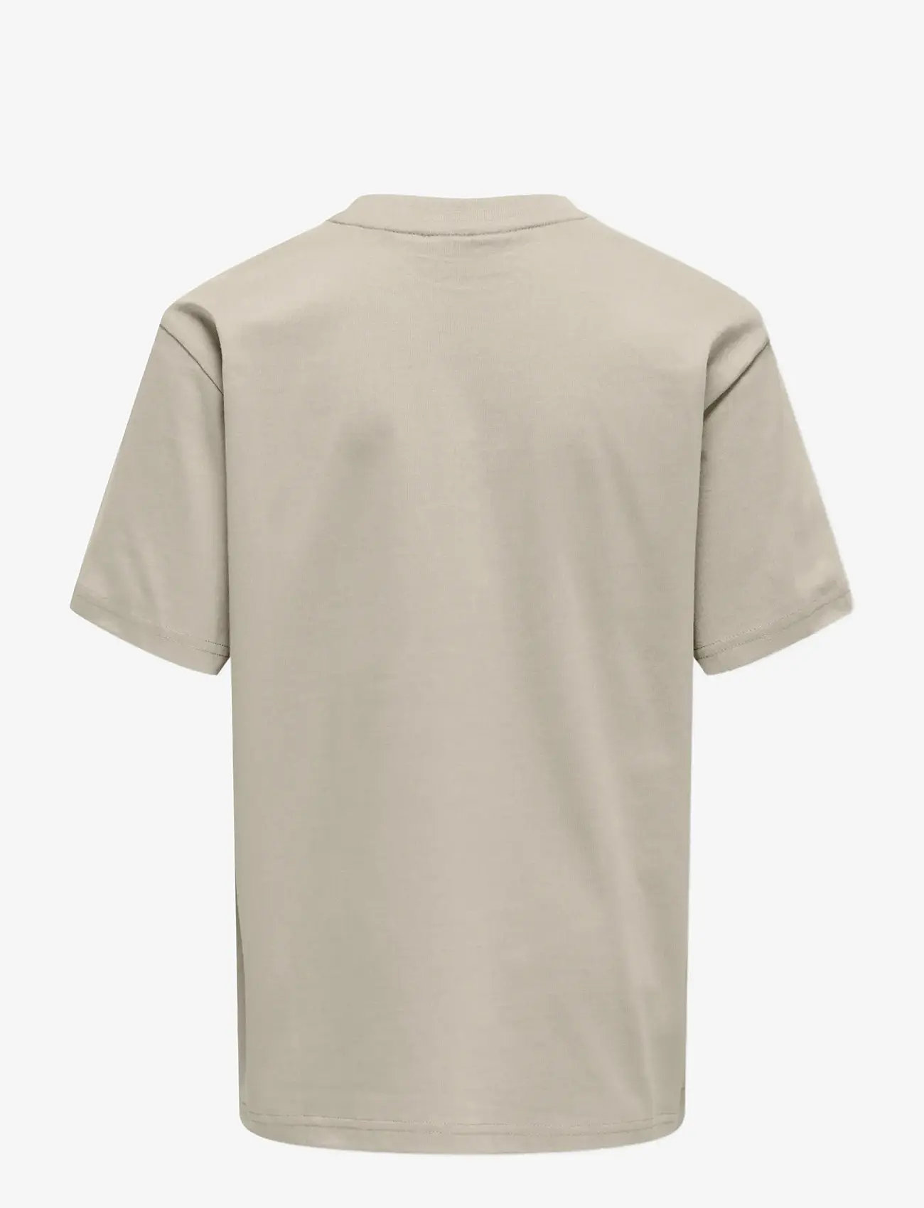ONLY & SONS - OSJFRED LIFE RLX SS TEE JRS NOOS - lühikeste varrukatega t-särgid - silver lining - 2