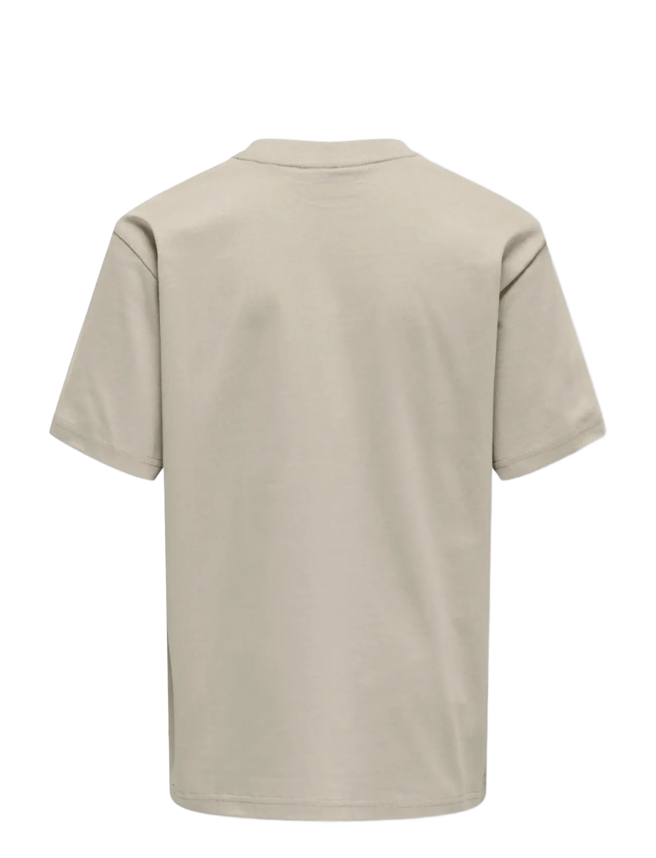 ONLY & SONS - OSJFRED LIFE RLX SS TEE JRS NOOS - kurzärmelige - silver lining - 2