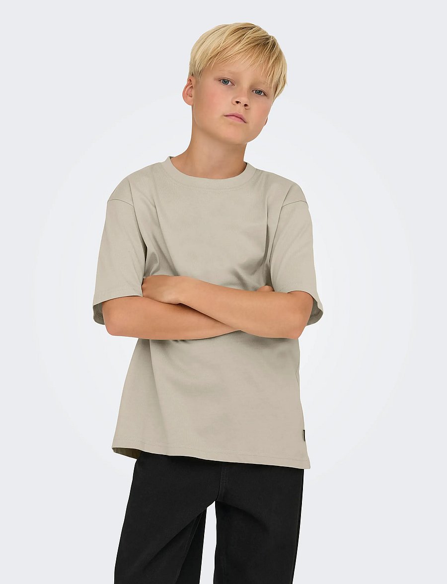 ONLY & SONS - OSJFRED LIFE RLX SS TEE JRS NOOS - kurzärmelige - silver lining - 0